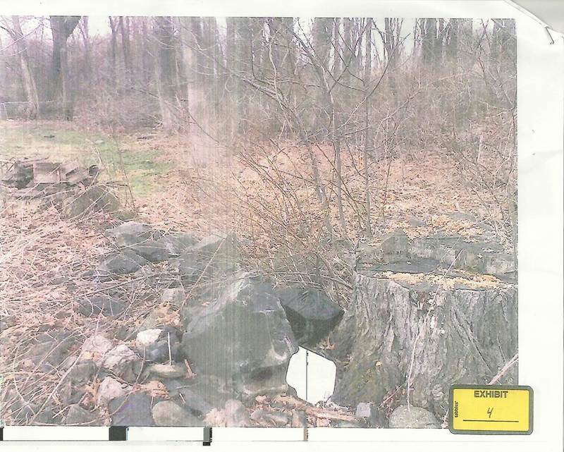 Forestry management and open space planning