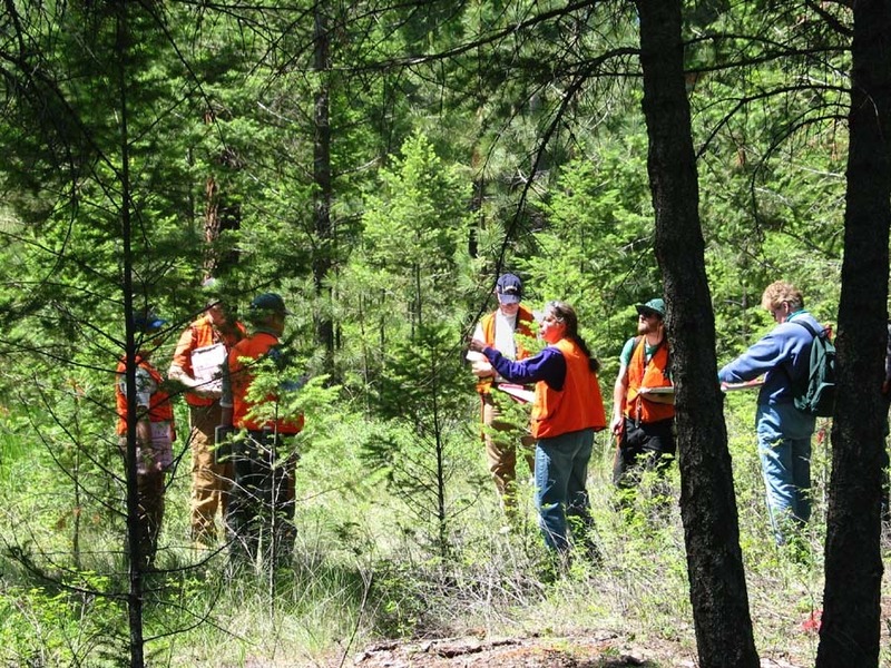 Open space stewardship and land-use assessment