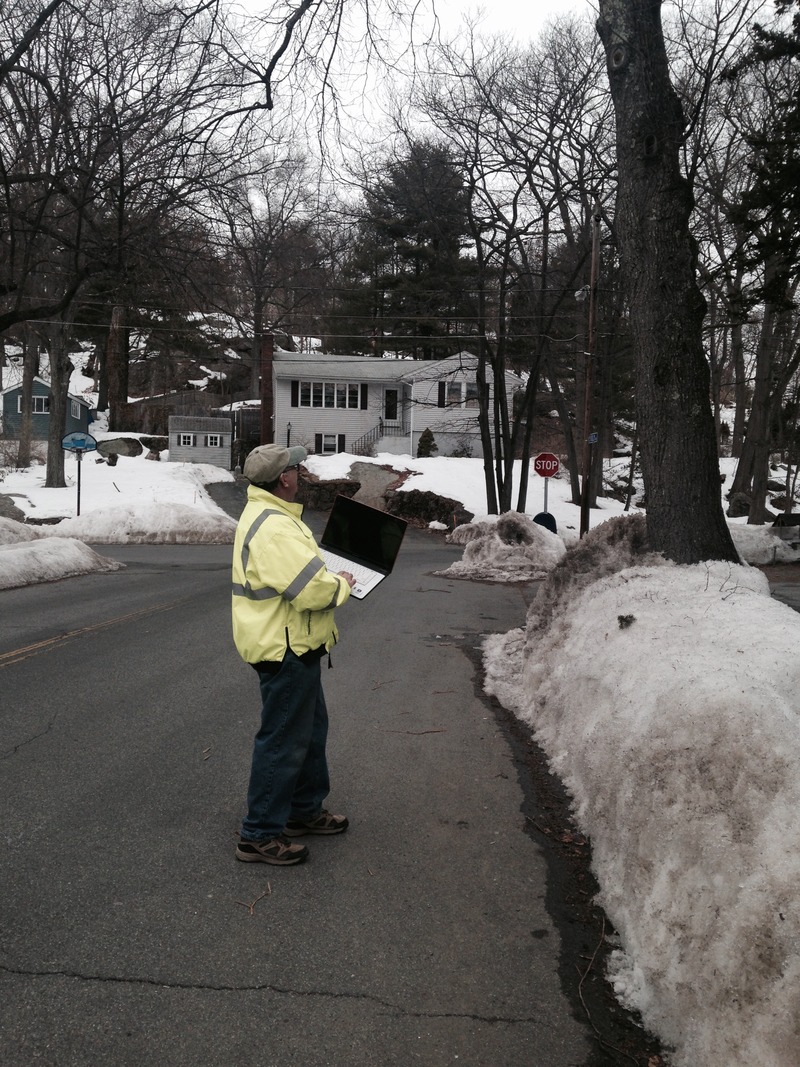 Municipal urban forestry project photo 3